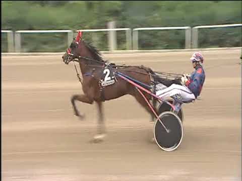 Trotto 22/10/2017 - 3ª corsa