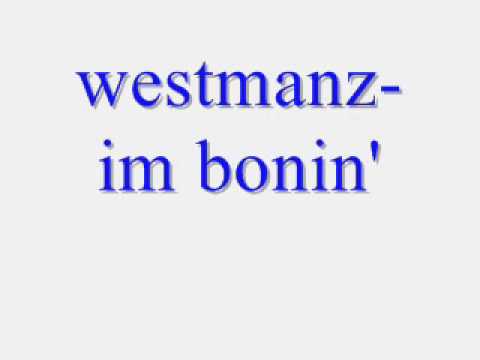 westmanz - im bonin