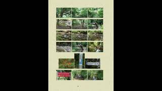 Philosophische Bildwanderung  Vitaltour Eremitenpfad - Bretzenheim an der Nahe - Rheinhessen