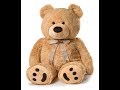 This Is Teddy Teddy Says Hi