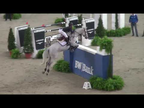 moeder Q Royal Palm Z 1.50 CSI5*W Stuttgart 2013