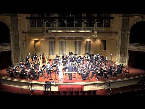 Franz Doppler - Concerto in d-minor