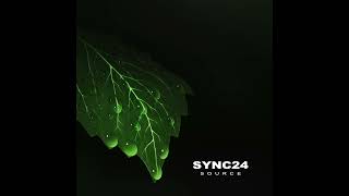 Sync24 - Memloop