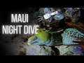 Night Diving on Maui || Makena Landing