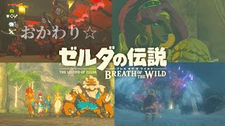 【ブレワイ】最高にグラフィック酔いした日【Part4】