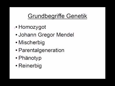 Grundbegriffe Genetik