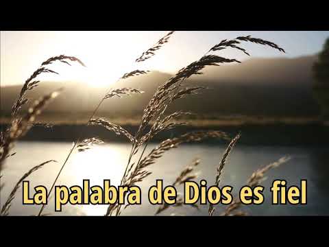 Lo mejor de esta tierra LA PALABRA DE DIOS ES FIEL (COVER) - Bryan Quintero IURD