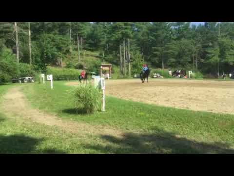 Pas de Deux, Karleen and Ruthie, Horse Amour Summer Dressage Show 2018