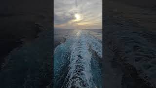 Super Wake Scene & Sound of the Star Princes | Prince Cruise Line | Star Princess Review 2026
