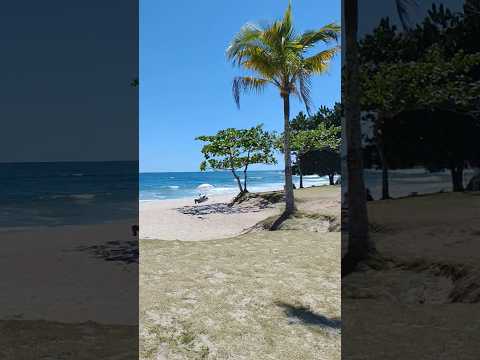 Uma das praias mais belas de são Sebastião-sp, praia da Juréia