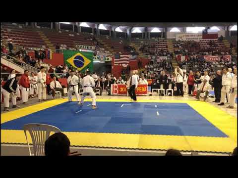 I campeonato Panamericano de karate JKA 2018 - Seleção Brasileira
