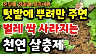 텃밭에 이걸 넣으면 벌레도없이 채소가 너무 잘커요.벌레생기기 전에 미리 예방하세요