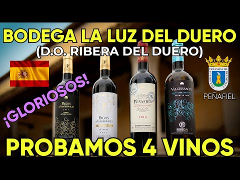Un ARGENTINO é dueño da BODEGA Vinos de La Luz em RIVERA DEL DUERO e provavelmente sus vinos com el