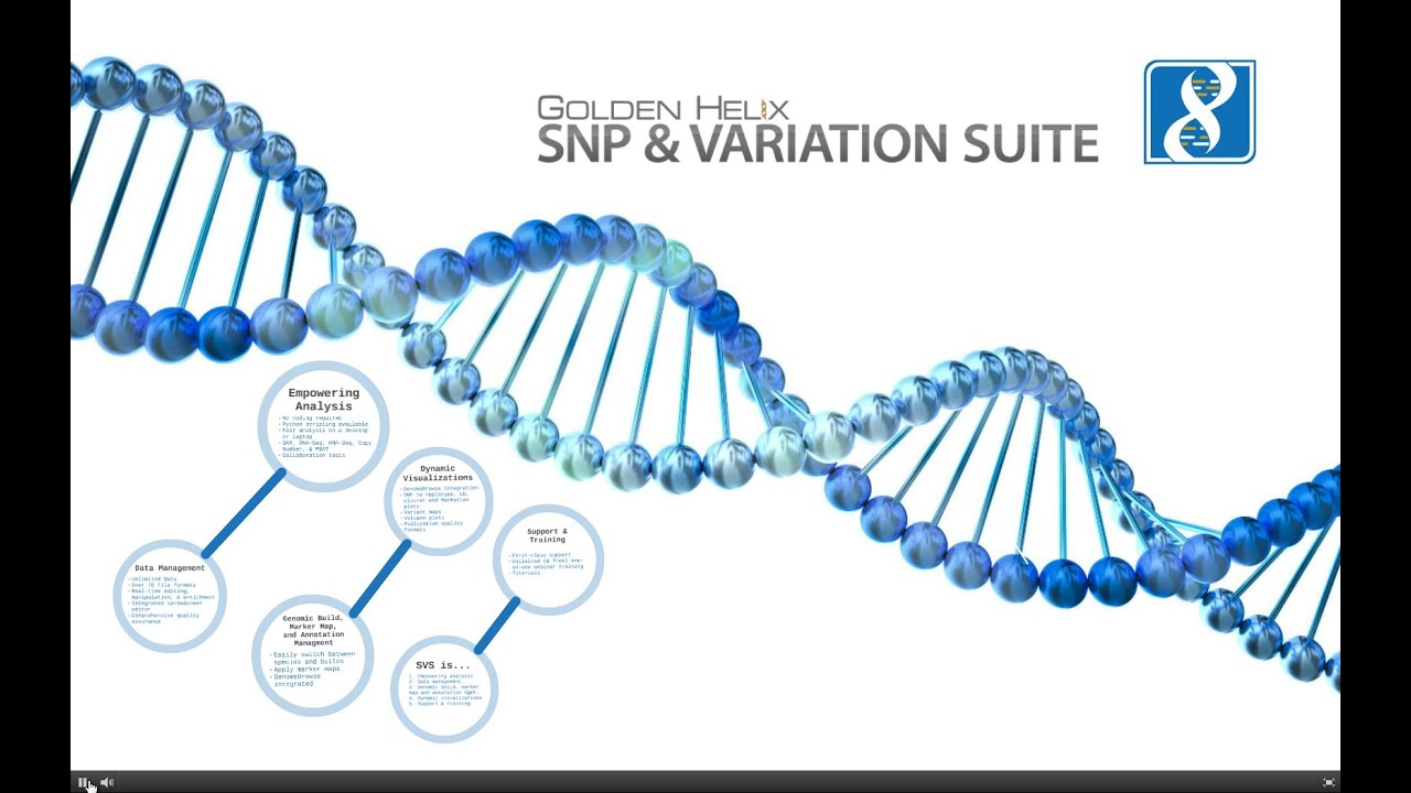 What is Golden Helix SNP & Variation Suite?