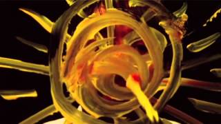 Peter Bjorn and John 'Gimme Some' - Full Album Music Video