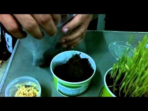 หญิงเชื้อโรคเองสูตรมือ ทำไมไม่มีแรงที่มีอาการเมาค้าง