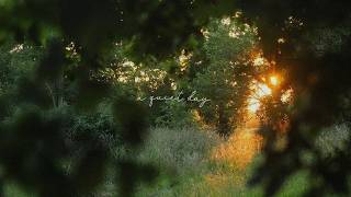 a playlist for slow walks in the tranquil park with soft music