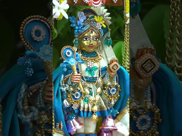 હરિકૃષ્ણ મહારાજ