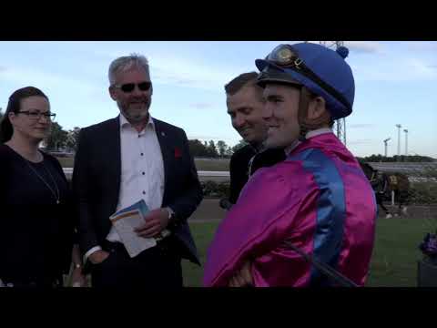 Future Stars Aperola & Svensk 2000 Guineas 2018 King David