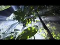 Zé Ramalho e Lula Côrtes - Harpa dos Ares (vídeo) Paêbirú.