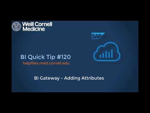 BI Quick Tip #120: How to use Attributes in the BI Gateway