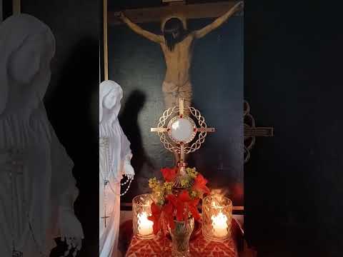Adoracion Al Santisimo Sagramento del Altar con el Padre Fabian Esteban Oliva. 18/10/26