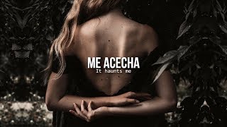 Something in the air • Steelfeather | Letra en español / inglés