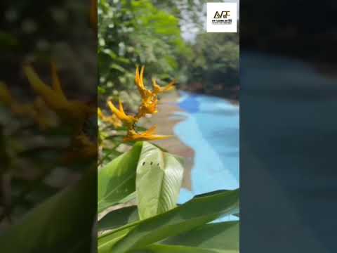 Zoo Negara Esthetic Epoxy Artwork