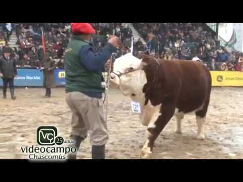 Palermo 2018 nota a Horacio La Valle