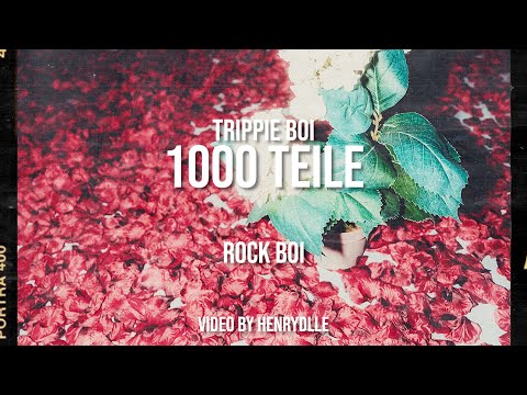 1000 Teile - Trippie Boi (Official Visual)