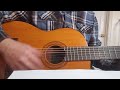 WHERE HAVE ALL THE FLOWERS GONE (Pete Seeger/Peter, Paul & Mary cover by Gary D Figg)