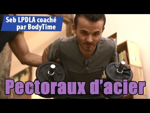 comment augmenter pectoraux