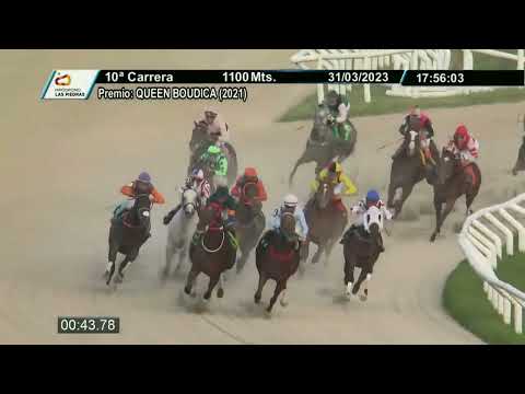 230331 C10 - THANK YOU FATHER - HIPODROMO LAS PIEDRAS