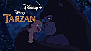 Phil Collins - En mi corazón vivirás (From Disney: “Tarzan”)