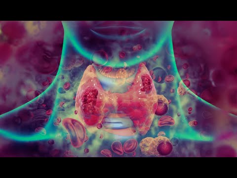 Quantum Thyroid Resonance | A Sonic Exploration for Inner Balance & Vitality