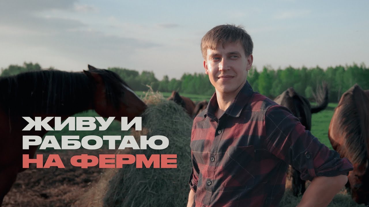 Фермер о медведях, электропастухах и краже лошадей