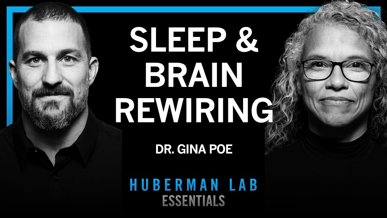 Essentials: Use Sleep to Enhance Learning, Memory & Emotional State | Dr. Gina Poe