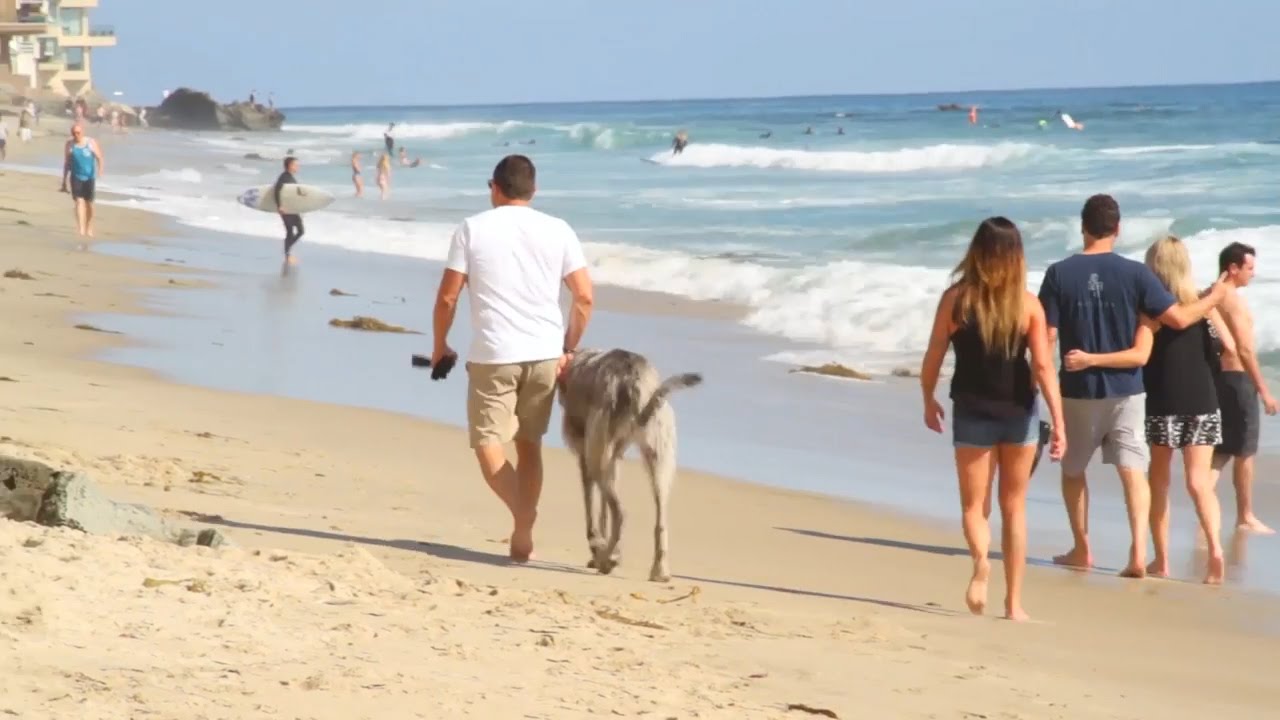 Laguna Beach: Where Art and Nature Thrive