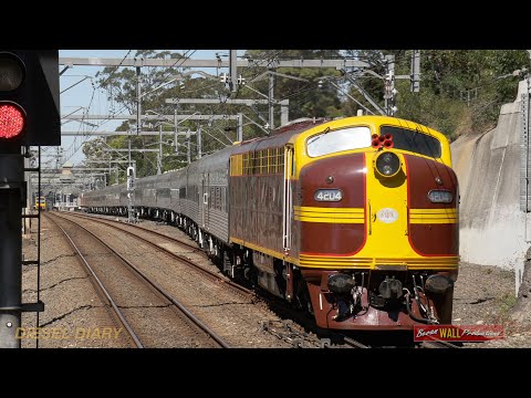 Australian streamliner locomotives 4204 & 42103 - Southern Aurora - Thornleigh - November 2020
