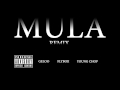 Mula Remix - Geloo & Flyboii 