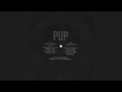 Bare Hands - Pup