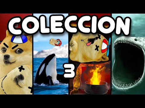 MADRES y NIÑOS con DERECHO y MÁS (TORTURAS, ORCAS Y MÁS) - COLECCIÓN 3 - Hilos con cheems