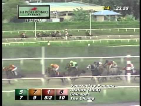 4TA CARRERA DEL SABADO 22 DE NOVIEMBRE 2014 HPR