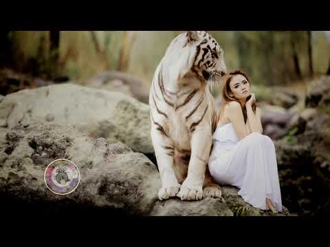 💓 Taking Me High,Taking me Low-Gold Flow,Jason dering🎶