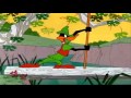 Daffy Duck As Robin Hood Hits Governor Ratcliffe