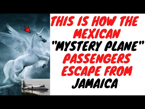 Jamaican Government Confirms That Mystery Plane Passengers Dem Escape