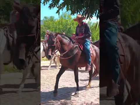 Cavalgada dos Bridão de ouro Candiba Bahia 🤠