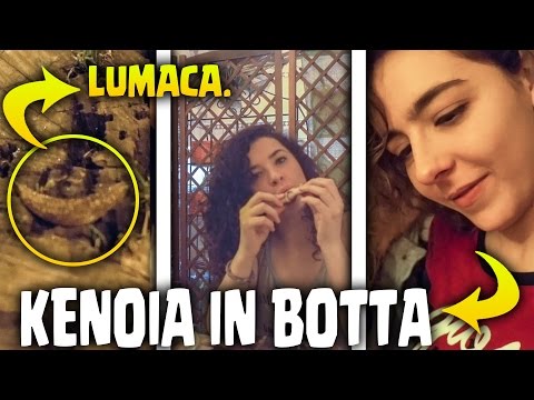 METANO MANGIA LUMACHE, MATTEO VS CACCA E CHARLIE...