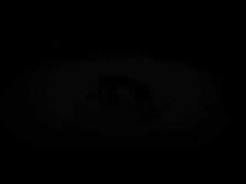 |Vine By Khirach| Bekhan Goigereev