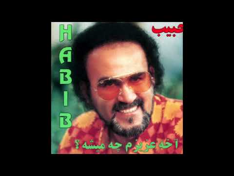 Habib - Ashegham | حبیب - عاشقم